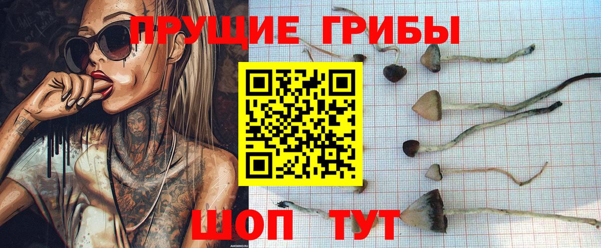 Псилоцибиновые грибы MAGIC MUSHROOMS  Вход с VPN  Кстово 